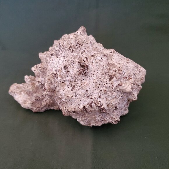 Extra Large Sandy Sea Shell with Wide Mouthed Spikey Conch - Picture 1 of 12